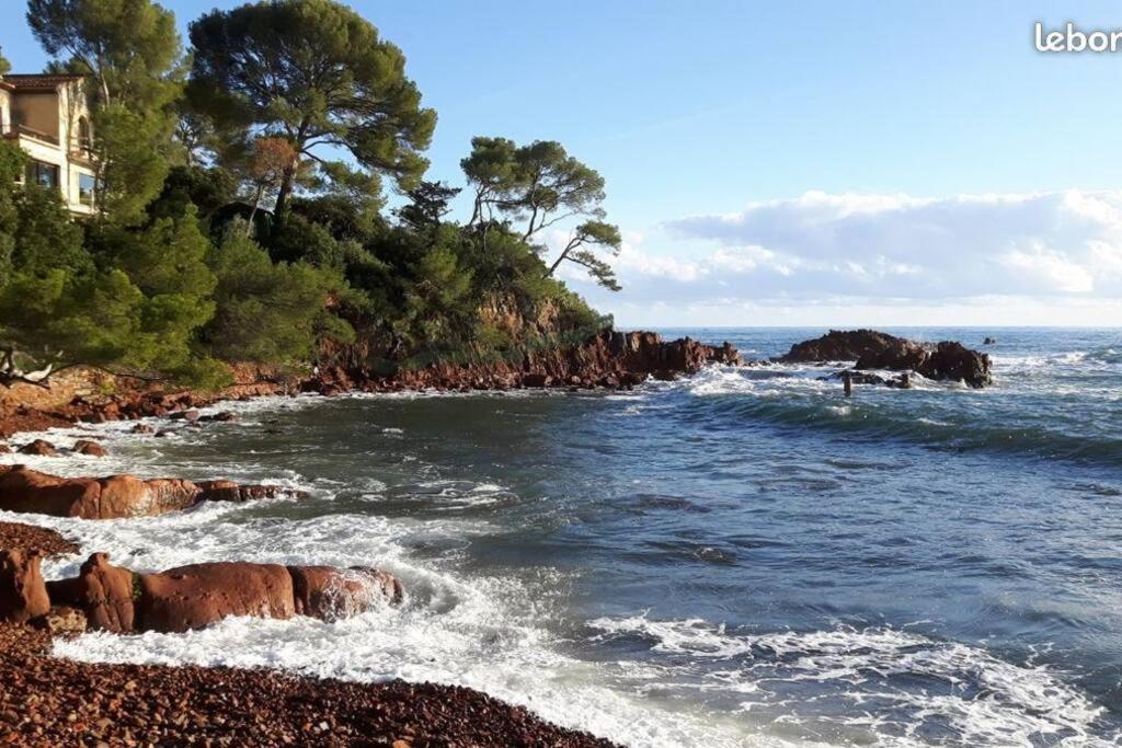 La Corniche D'Or A St Raphael Lägenhet Saint-Raphaël Exteriör bild